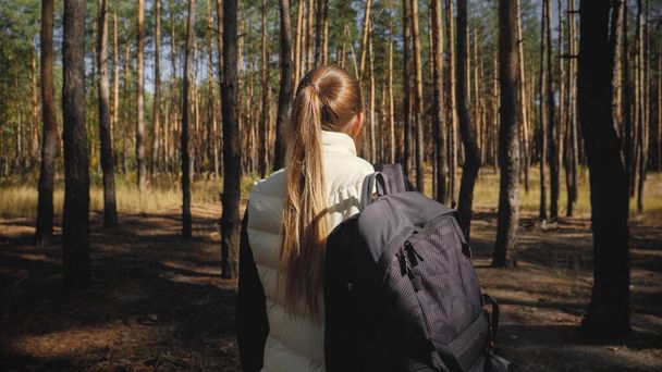 Photo tonique de belle femme avec sac à dos randonnée en forêt
 - Photo, image