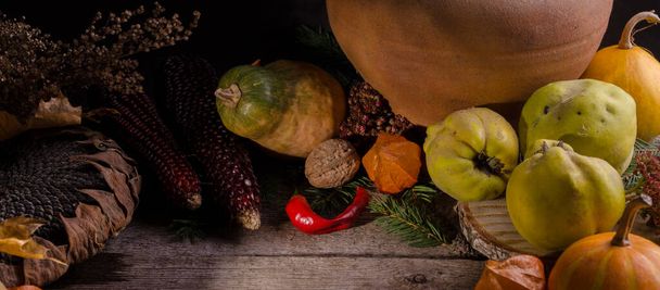 Autumnal rural banner with bright ripe pumpkins, big dry sunflower, apple quinces and nuts on an old wooden background with empty space for text. - Foto, Bild