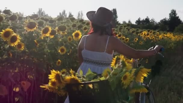 A woman in a hat and a white dress with a bicycle walks through the pollen with sunflowers - Filmati, video