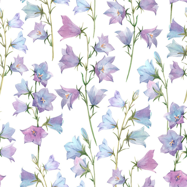Beautiful seamless pattern with watercolor gentle bluebell flowers. Stock illustration. - Foto, Imagem