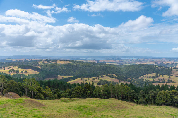 Landscape of Northland region in New Zealand - Fotoğraf, Görsel