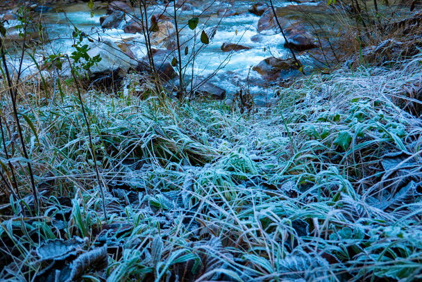 Потік тече між замерзлою травою
 - Фото, зображення