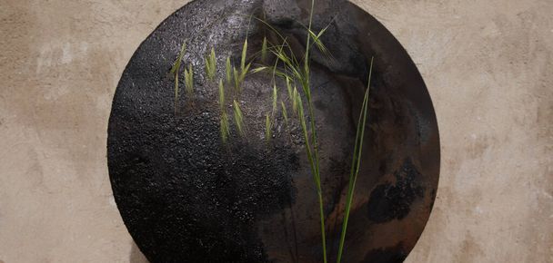 növény körkörös fekete háttér - Fotó, kép