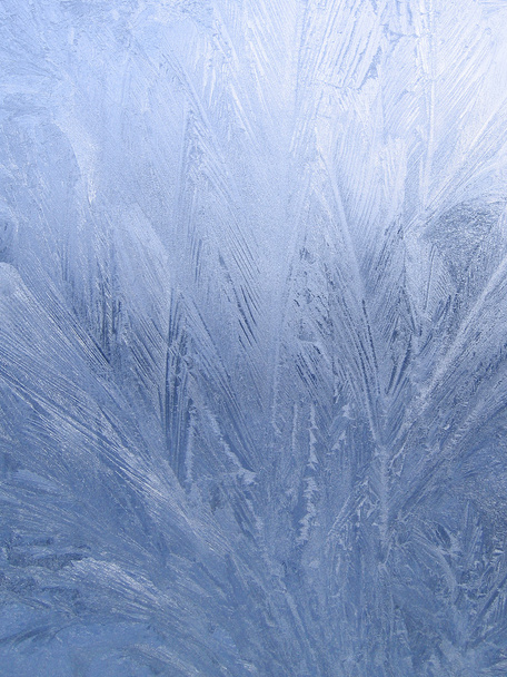 氷のパターン - 写真・画像