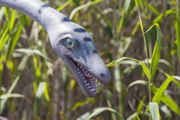Динозавр-1
 - Фото, изображение
