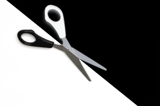 Nożyczki w czerni i bieli - Zdjęcie, obraz