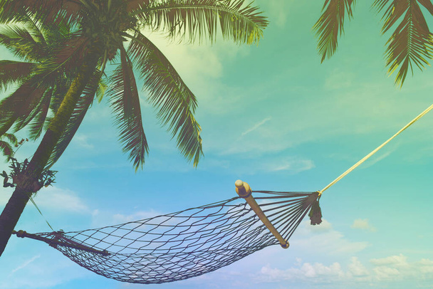 Hängemattenwiege unter Kokospalmenblättern und blauem Himmel. Farbfilter aufgetragen - Foto, Bild