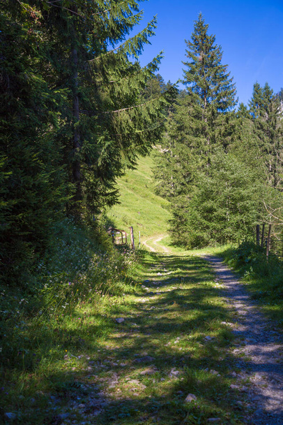 Valley to Schonenbach, Vorarlberg, Austria  - Foto, Imagem