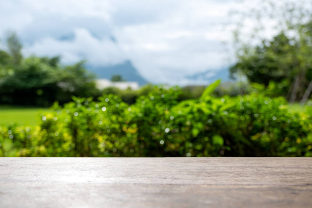 Imagem de close-up de uma mesa de madeira vintage com borrão verde natureza fundo
 - Foto, Imagem