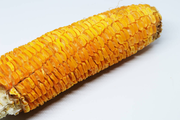 Свежая органическая кукуруза на белом фоне
 - Фото, изображение