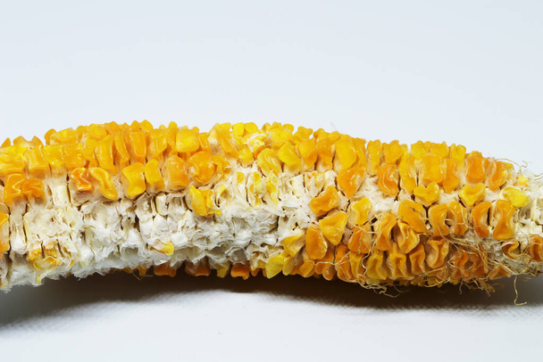 Beyaz arka planda taze organik tatlı mısır - Fotoğraf, Görsel