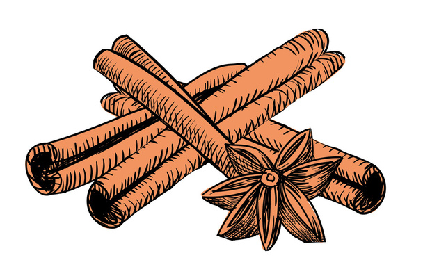 drawn vintage cinnamon - Vector, Image