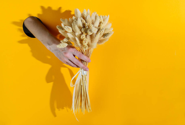 Hand from the hole holds a bouquet of dried flowers on a yellow background. Horizontal orientation, copy space. - Foto, immagini