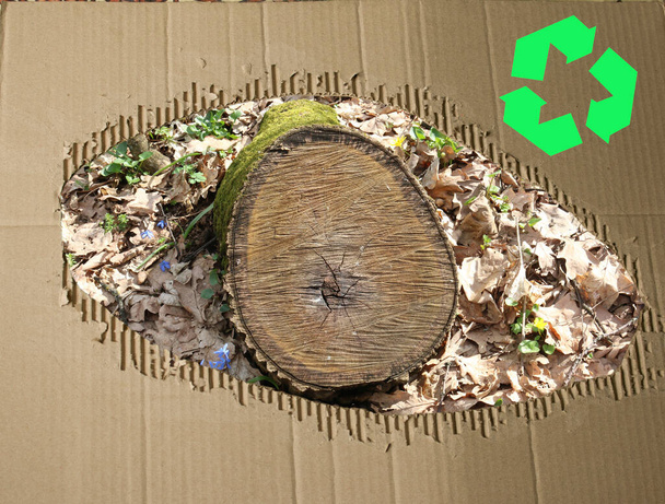 Uma redução de um tronco de árvore contra o fundo de papelão usado. Os resíduos de papel cartão protegem o ambiente. Conceito de reciclagem de papelão. Reciclagem de cartão
.  - Foto, Imagem