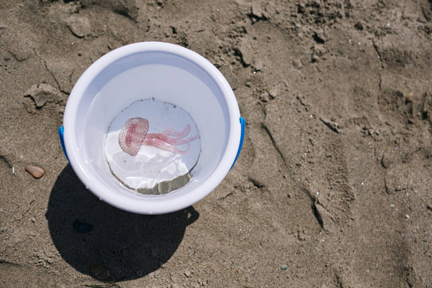 egy medúza a tengerparti vödörben. Üdülési koncepció és természet. - Fotó, kép
