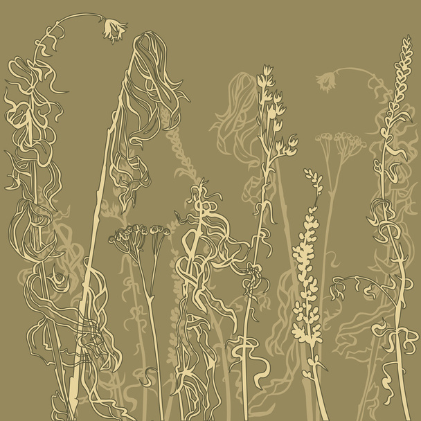 Monochrome line drawing herbs - Vektör, Görsel