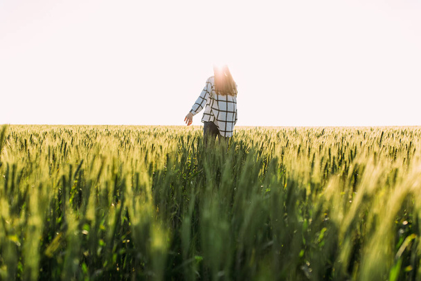 young woman walks through a wheat field and touches the ears of wheat with her hands against the background of the sunset - Fotoğraf, Görsel