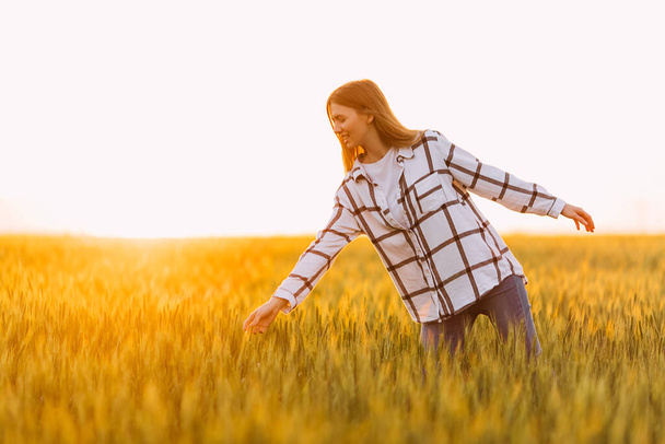 young happy woman in a checked shirt strolling through a wheat field during a Sunny sunset - 写真・画像