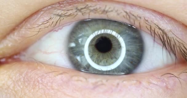 4k makro video široce otevřeného mužského zeleného oka - Záběry, video