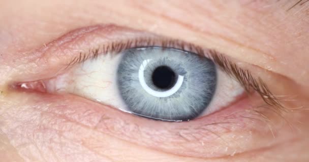 4k macro video di occhi blu maschili spalancati - Filmati, video