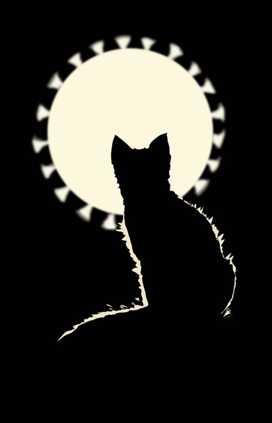 Serie COVID-19. Quarantäne, eine Katze schaut auf den Mond. - Foto, Bild