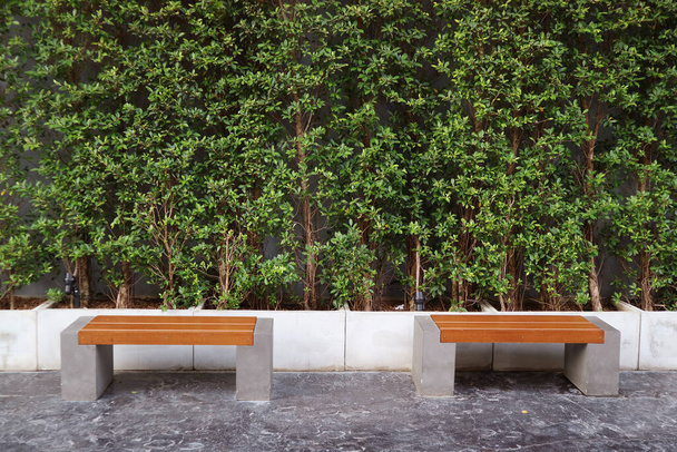 Üres távolsági padok párja zöld sövénynövények előtt egy parkban - Fotó, kép