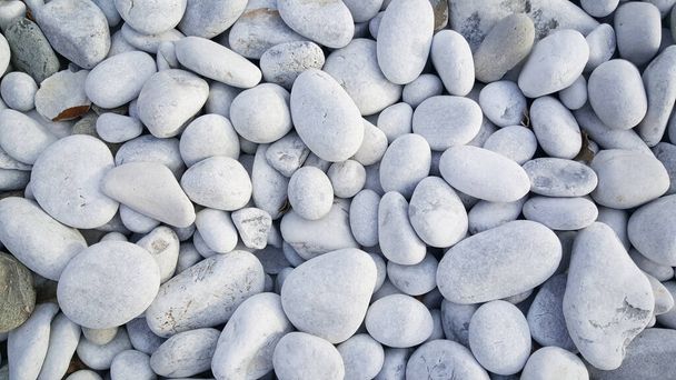 Praia com pedras brancas em torno de Exo nimfio Grécia
 - Foto, Imagem
