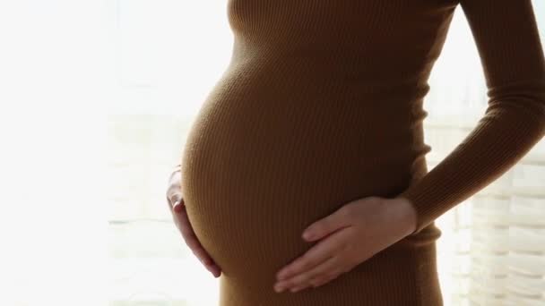 Lähikuva raskaana oleva nainen seisoo silitti vatsaansa - Materiaali, video