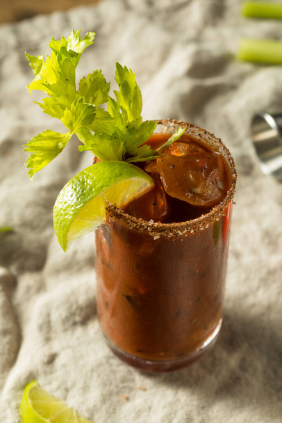 Spicy Organic Bloody Mary with LIme and Celery - Foto, imagen
