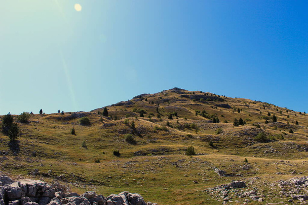 Wavy hill with planted conifers with a lot of stones. Hill on Bjelasnica mountain, Bosnia and Herzegovina. - 写真・画像