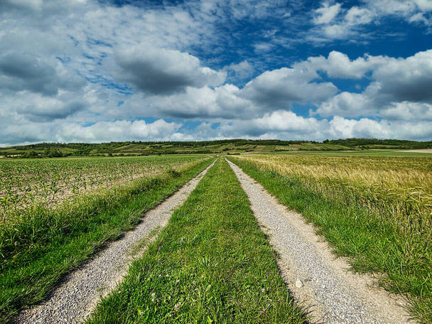 Agriculture Country Road, beautiful landscape with sky and clouds - Photo, Image