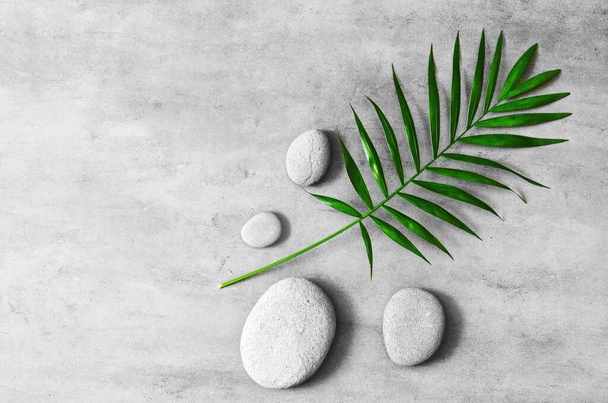 Flache Lagekomposition mit Wellness-Steinen, grünen Palmblättern auf grauem Hintergrund. - Foto, Bild