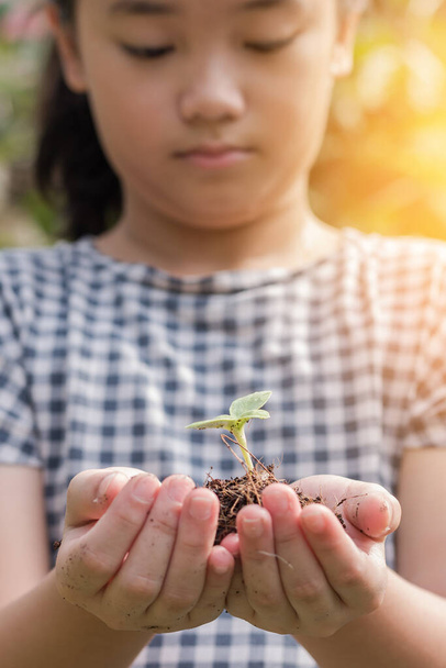Plantation d'arbres sur le sol dans la main d'une fillette pour sauver l'environnement mondial, journée de soins des arbres, concept de protection de l'environnement et d'éducation écologique pour les élèves - Photo, image