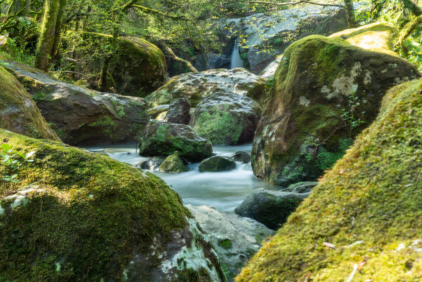 río de fosso castello en soriano nel cimino viterbo en el bosque - Foto, Imagen