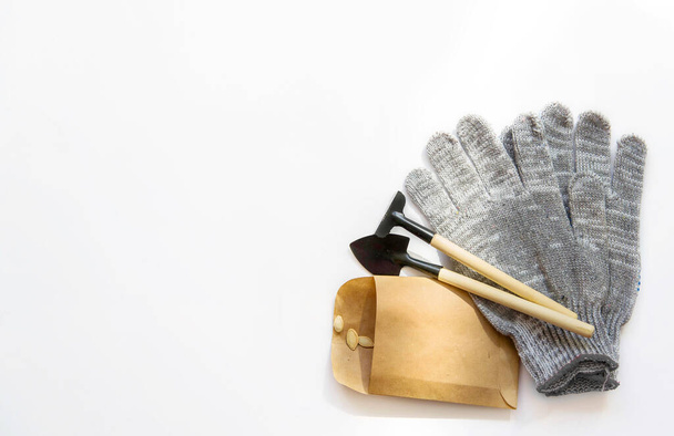 Spring garden layout. Top view of garden tools, hemp seeds, all protective gloves located on the lower right corner of a white background. Background with copy space. - Foto, imagen