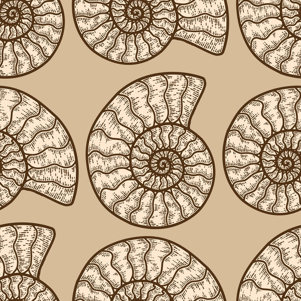 Cefalópodes Nautilus sem costura padrão de cor bege. Sketch imitação placa de arranhão
. - Vetor, Imagem