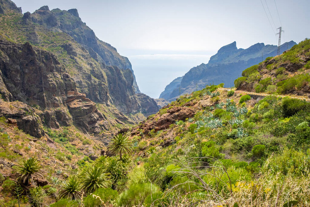Carretera de montaña curvilínea a través de las Rocas del Teno hasta el pueblo Masca en Tenerife   - Foto, imagen