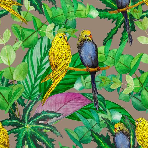 Tropical seamless pattern with watercolor jungle foliage and budgies. Hawaiian summer tropical illustration. Exotic natural print. - Фото, зображення