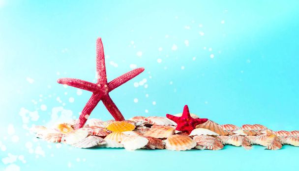 Red starfish against the background of seashells. Summer time or hello summer. Creative copy space, close-up - Photo, Image