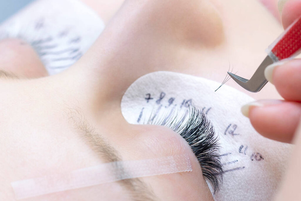 Eyelash extension procedure. Beautiful woman with long eyelashes in a beauty salon. Eyelashes close up. tweezers in the hands of the master - Photo, image