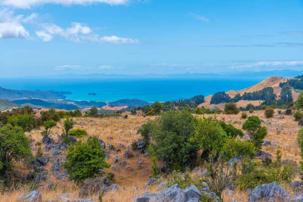 Landscape of New Zealand around Takaka hill - Foto, Imagem