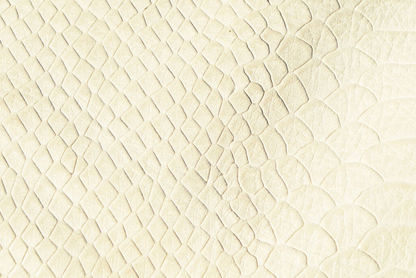 Astratto sfondo grunge, vecchia texture pelle di serpente in colore beige
 - Foto, immagini