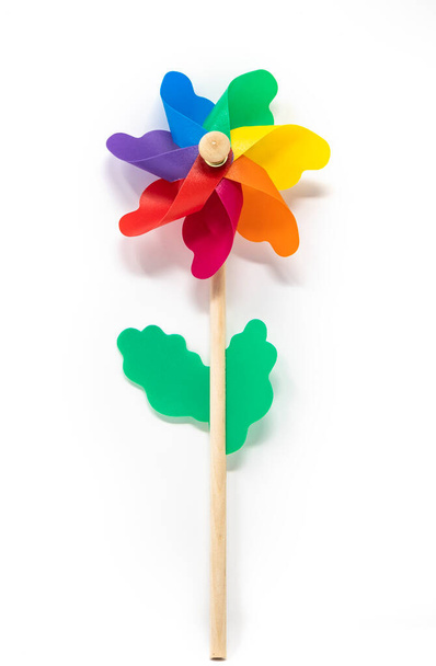 A Catherine wheel wind (pinwheel) isolated on white background. Colors: green, yellow, blue, purple, fuchsia, orange, red. Child's toy made of plastic curls attached to a wooden stick. Like a flower. - Foto, imagen