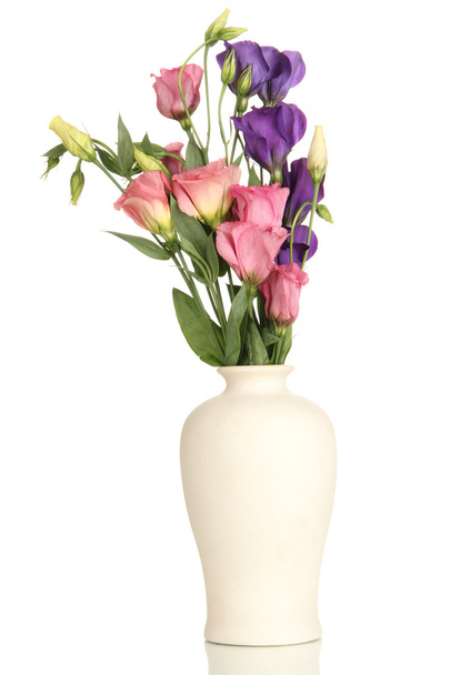 Bouquet of eustoma flowers in vase isolated on white - Fotoğraf, Görsel