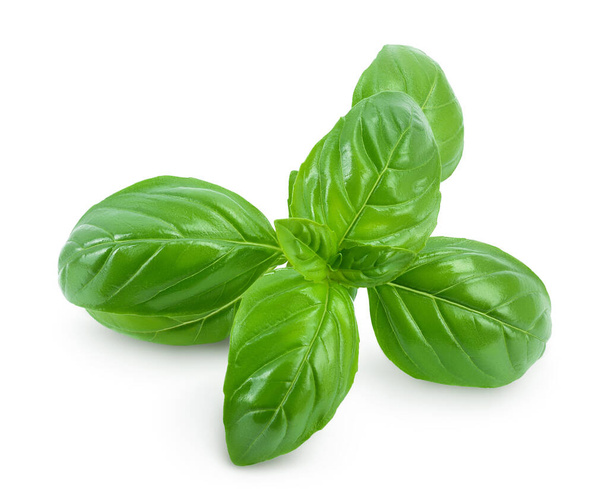 Fresh basil leaf isolated on white background with clipping path and full depth of field - Photo, Image
