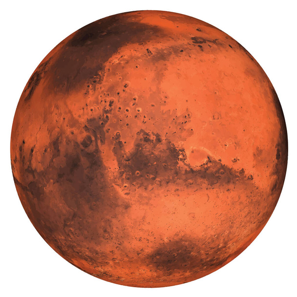 Ο πλανήτης Άρης απομονώθηκε σε λευκό φόντο. Ρεαλιστικό διάνυσμα. - Διάνυσμα, εικόνα