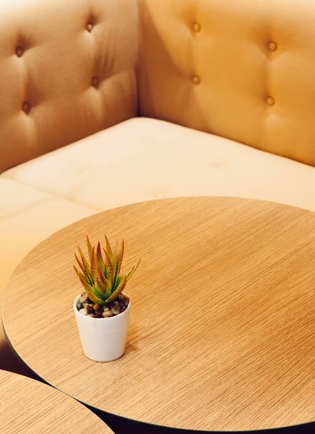 Kortárs stílusú fa asztal kanapéval és növényi pot, meleg tónusú kávézó és étterem belső - Fotó, kép