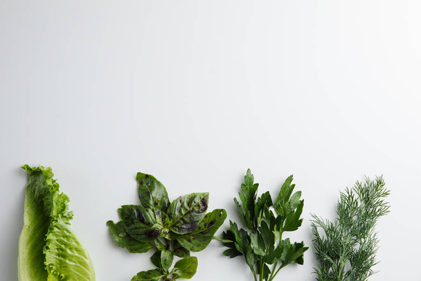 Parsley, Herbs, Dill, Basil on a white background. Minimum concept - Фото, изображение