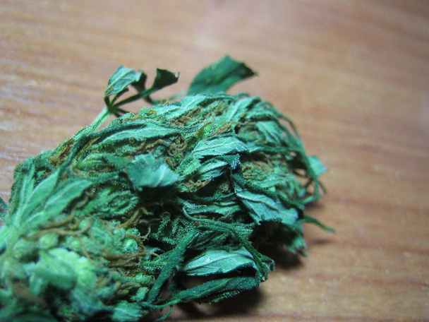 Cannabis rétro dans creta île hippie super citron brume vintage illégales empreintes de fond
 - Photo, image