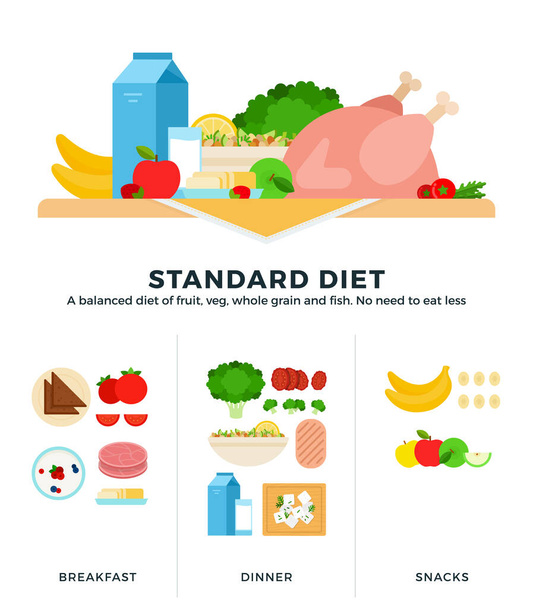 Standard diet vector flat illustrations. A balanced diet of fruits, vegetables whole grain and fish. No need to eat less. - Вектор,изображение